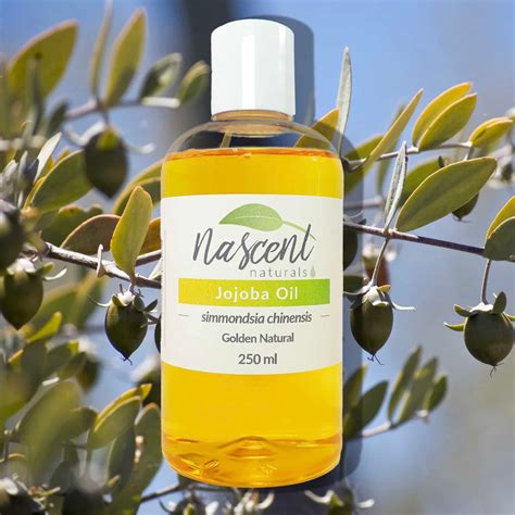 How Apple Jojoba Oil Enhances Your Relaxing Online Casino Experience in 2026 — jojobet Football competitive odds 2026